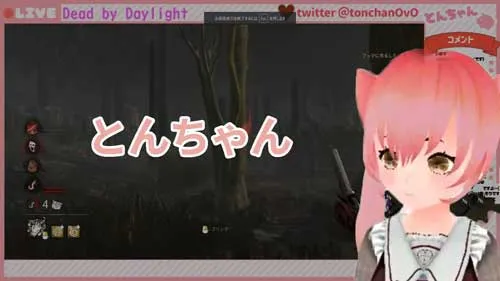 VTuberのとんちゃんの写真の引用写真